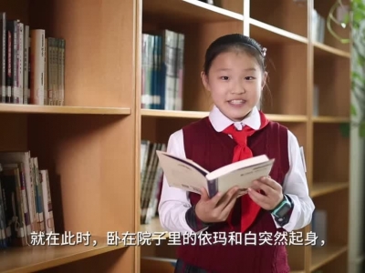 СҺںʶǼ硷
